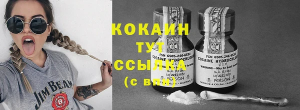 твердый Абаза