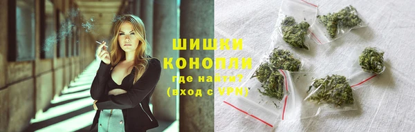 сатива Абинск