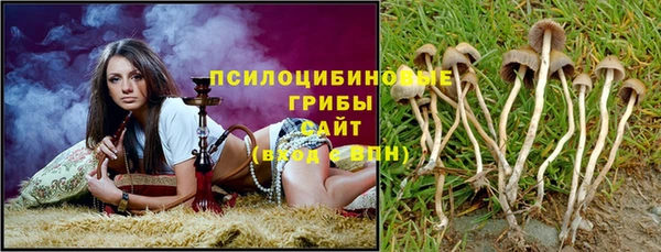 гидропоника Абдулино
