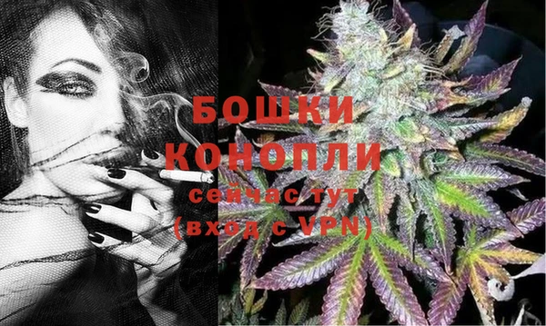 сатива Абинск