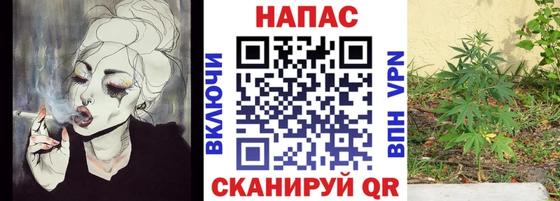 Каннабис OG Kush  Тетюши 